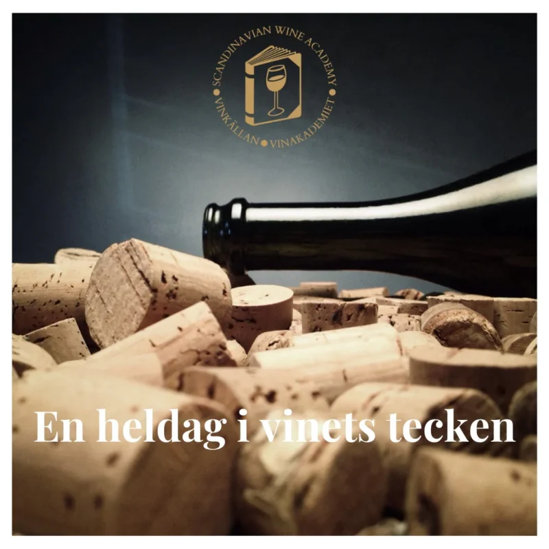 Vinkällan kurs