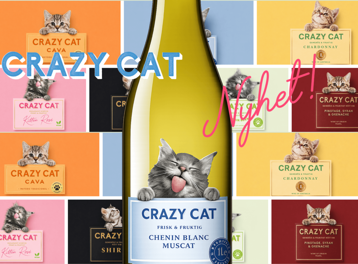 hero crazy cat